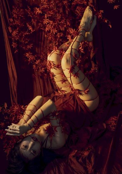 极品女士第一季 电视剧免费