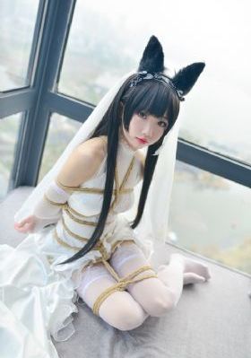 爆笑虫子全集免费观看