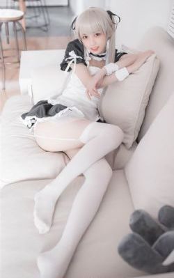 动物世界免费观看高清